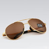 Image of Men's Sunglasses Brand Designer Pilot Polarized Male Sun Glasses - Mr.BEAR