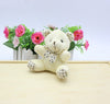 Image of lovely mini Bear Teddy Bear Plush Toys key chain pendant - Mr.BEAR
