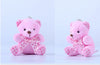 Image of lovely mini Bear Teddy Bear Plush Toys key chain pendant - Mr.BEAR
