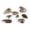 Image of Natural Stone Ghost Phantom Quartz Crystal Gem - Mr.BEAR