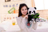 Image of Stuffed Panda bear Doll Plush Toy - Mr.BEAR